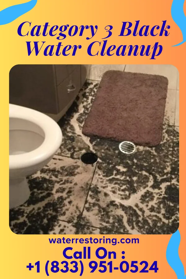 Category 3 Black Water Cleanup in San Luis, AZ